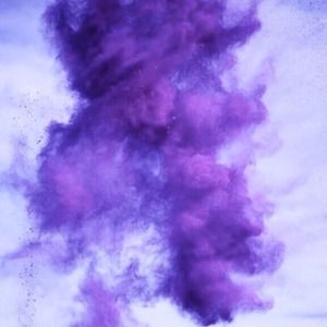 Meet your Posher, Gabriela